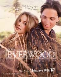 Everwood Season 2 (2003)