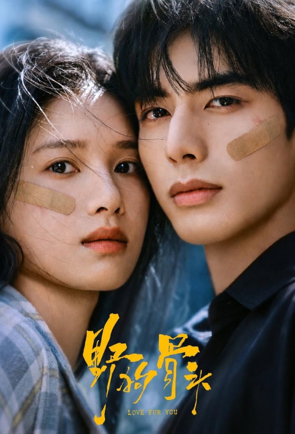 ซีรี่ย์จีน Love for You (2026) รักสำหรับคุณ ซับไทย